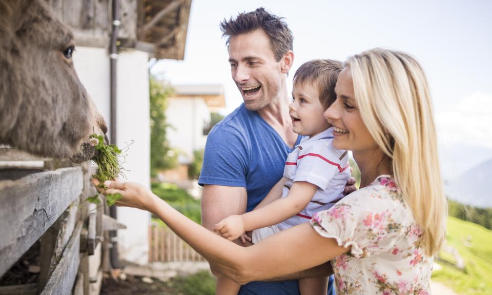FAMILIENANGEBOT IM KUNTERBUNTEN HERBST