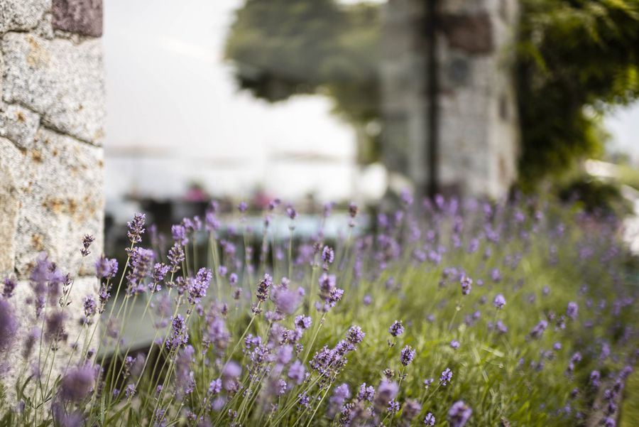 Lagreins Gartenparadies