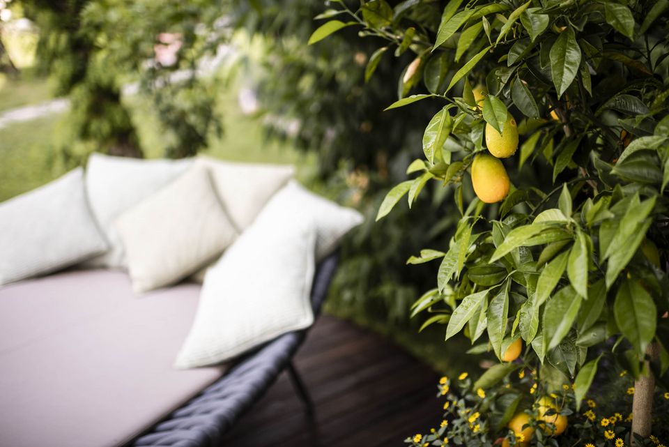 Lagreins Gartenparadies