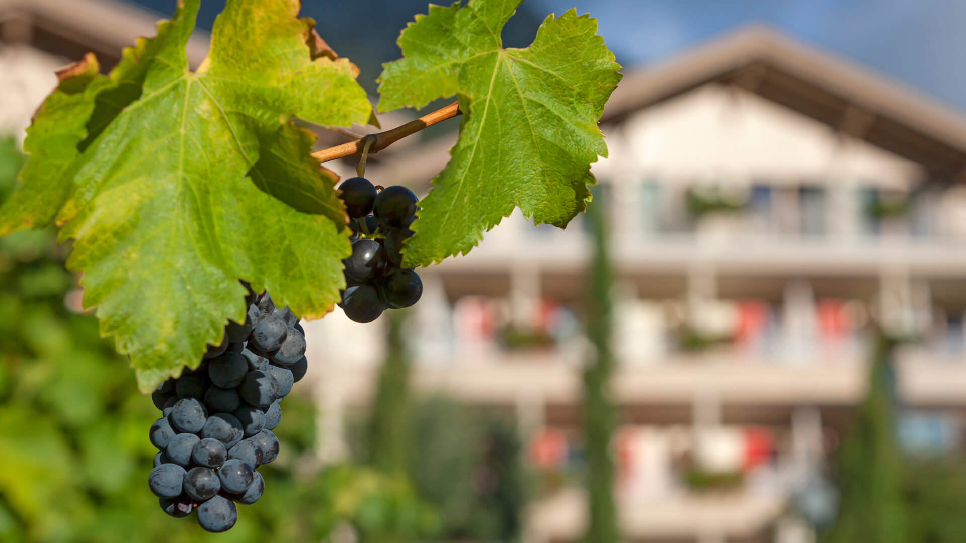 Weinhotel