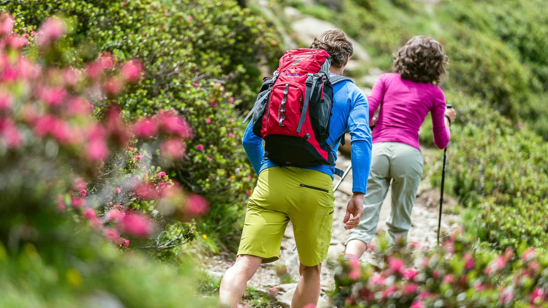 Geführten Alpenrosenwanderung